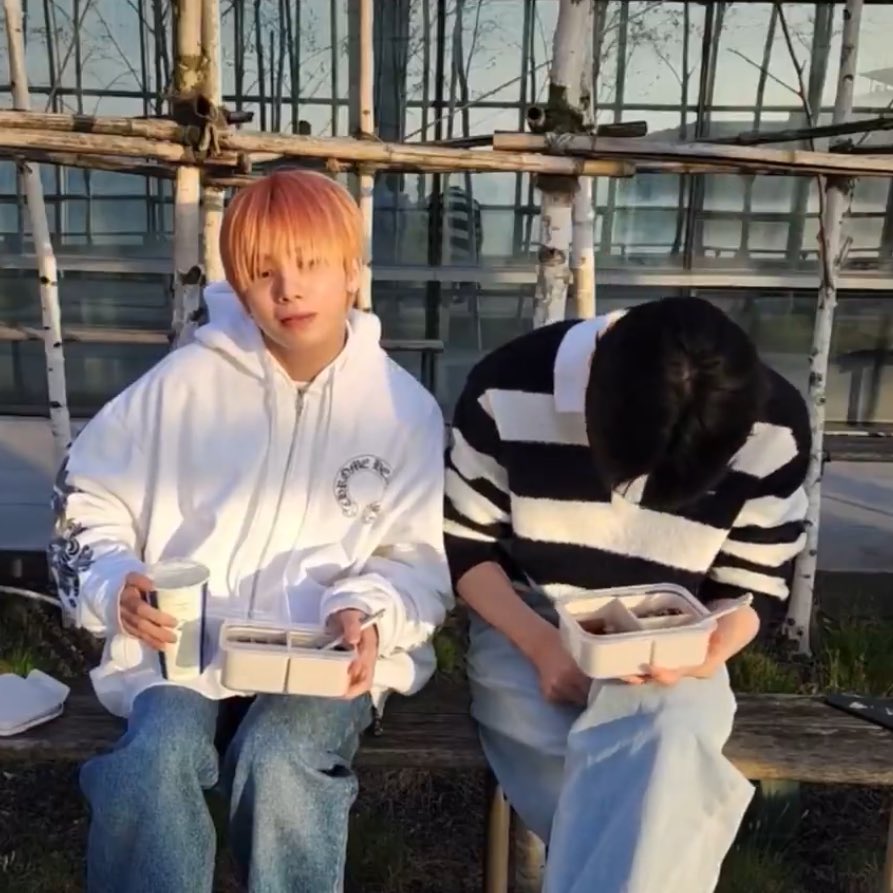 ぴょーん tweet media