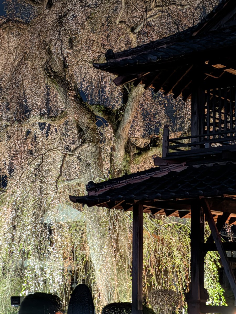 𝓖𝓻𝓮𝓮𝓮𝓮𝓮𝓷𝓕𝓜(57） tweet media