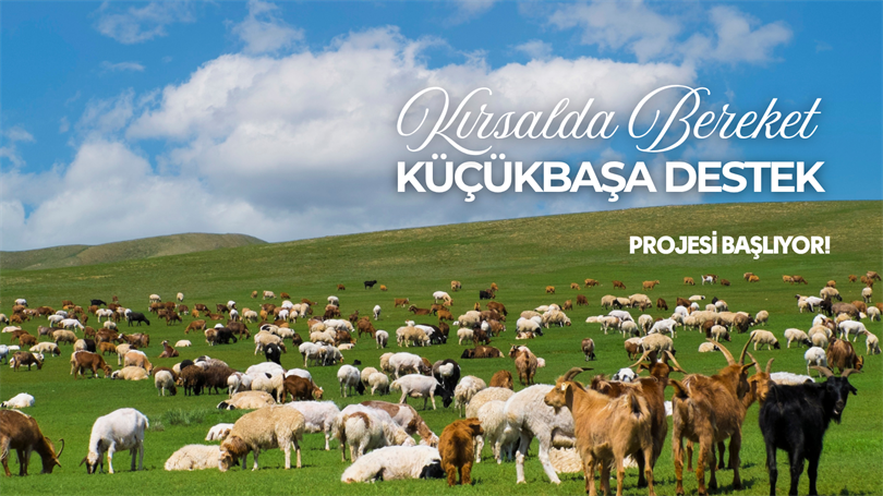 ankaratarim's tweet photo. Kırsalda Bereket: 2026 Küçükbaşa Destek Projesi Başvuruları Başladı! 
Proje ile üreticilere 100 baş küçükbaş hayvan desteği sağlıyoruz.
Başvuru: 01 - 30 Nisan 2026 tarihleri arası
Yer: İl/İlçe Tarım ve Orman Müdürlükleri.

#Hayvancılık #ÇiftçiDestek #KırsaldaBereket https://t.co/ck8aCXJQKw