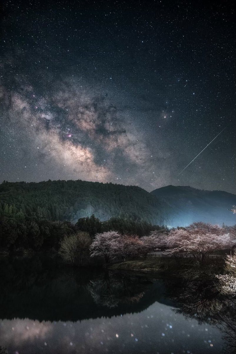 hirography_321's tweet photo. これが日本の春の星空。 https://t.co/VspmqIxZvN