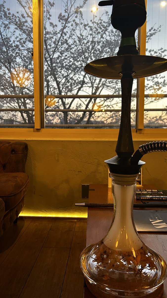 kisuke/PBER tweet media