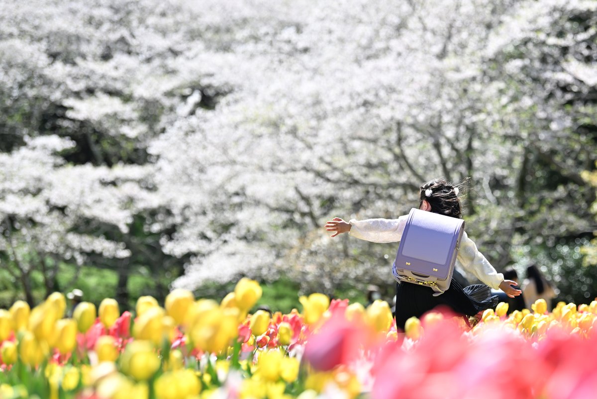 静岡新聞社浜松総局 tweet media