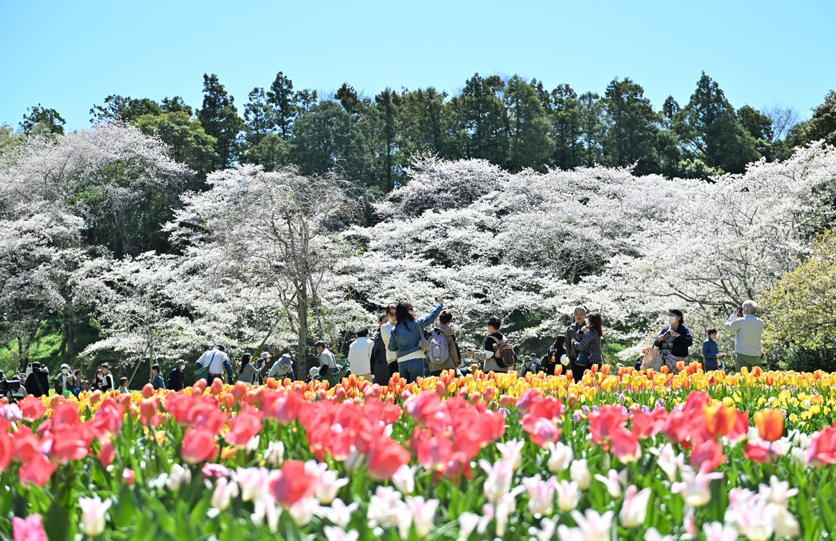 静岡新聞社浜松総局 tweet media