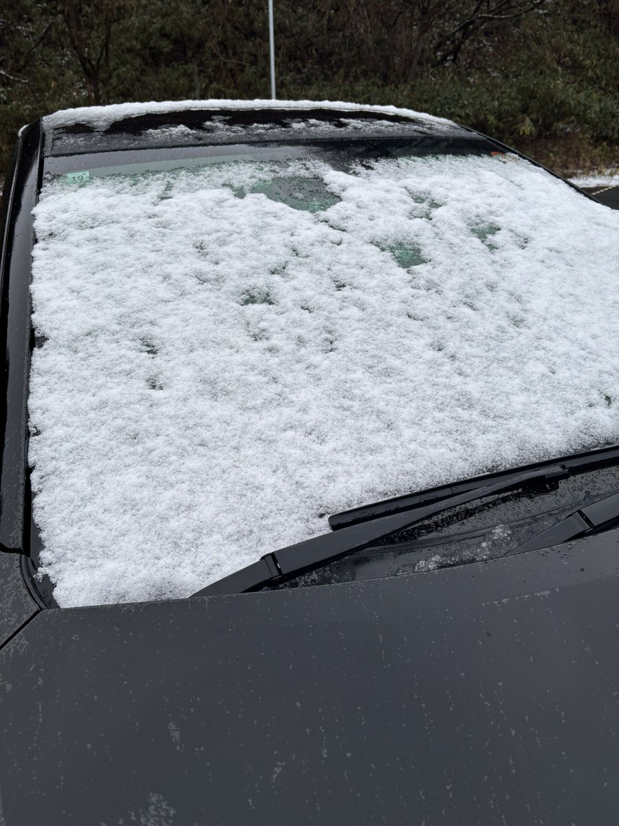 コーキ tweet media