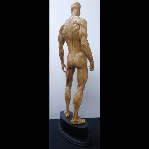 映画グッズ専門店ハリコレ tweet media