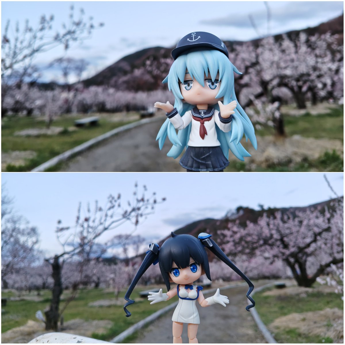 エクシード(雑多アカウント) tweet media