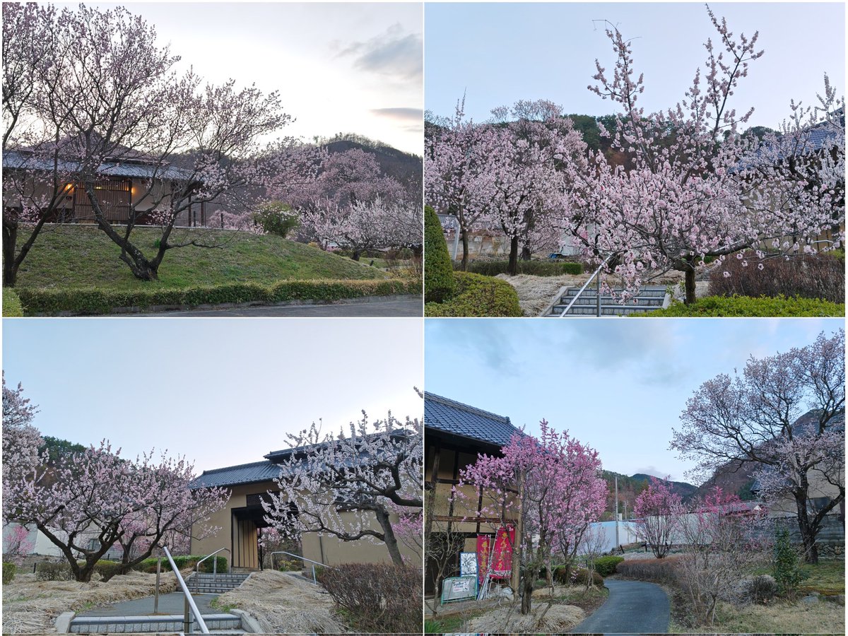 エクシード(雑多アカウント) tweet media