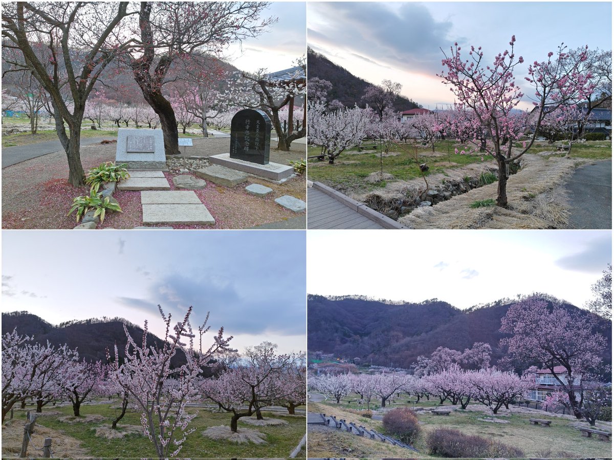 エクシード(雑多アカウント) tweet media