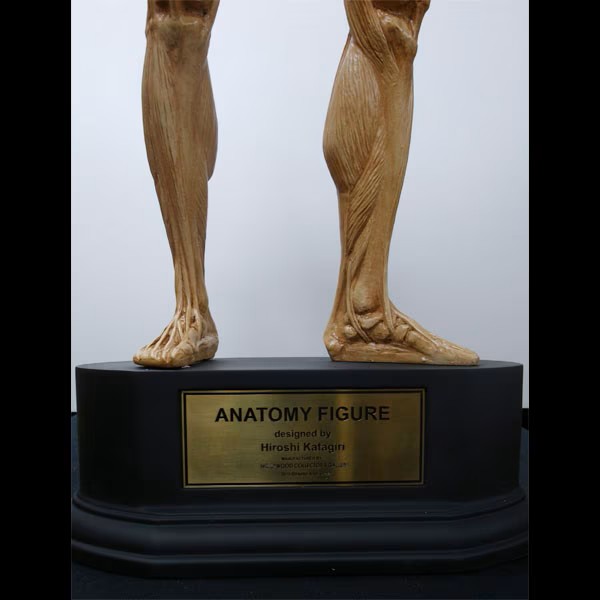 映画グッズ専門店ハリコレ tweet media