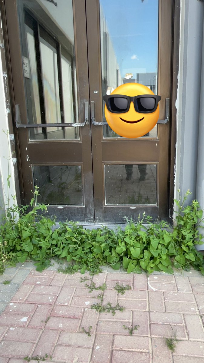 حمبوله tweet media