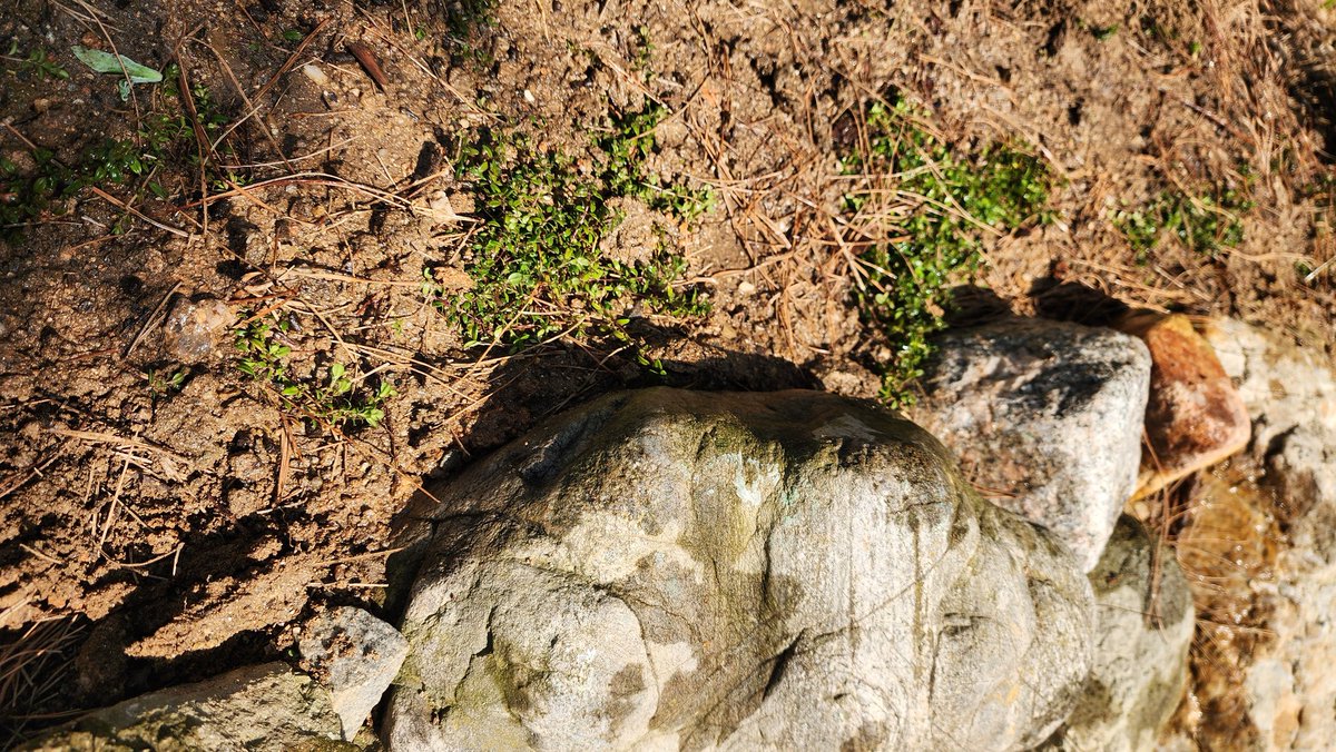 🎗🐬淵畵公🐬🎗 tweet media