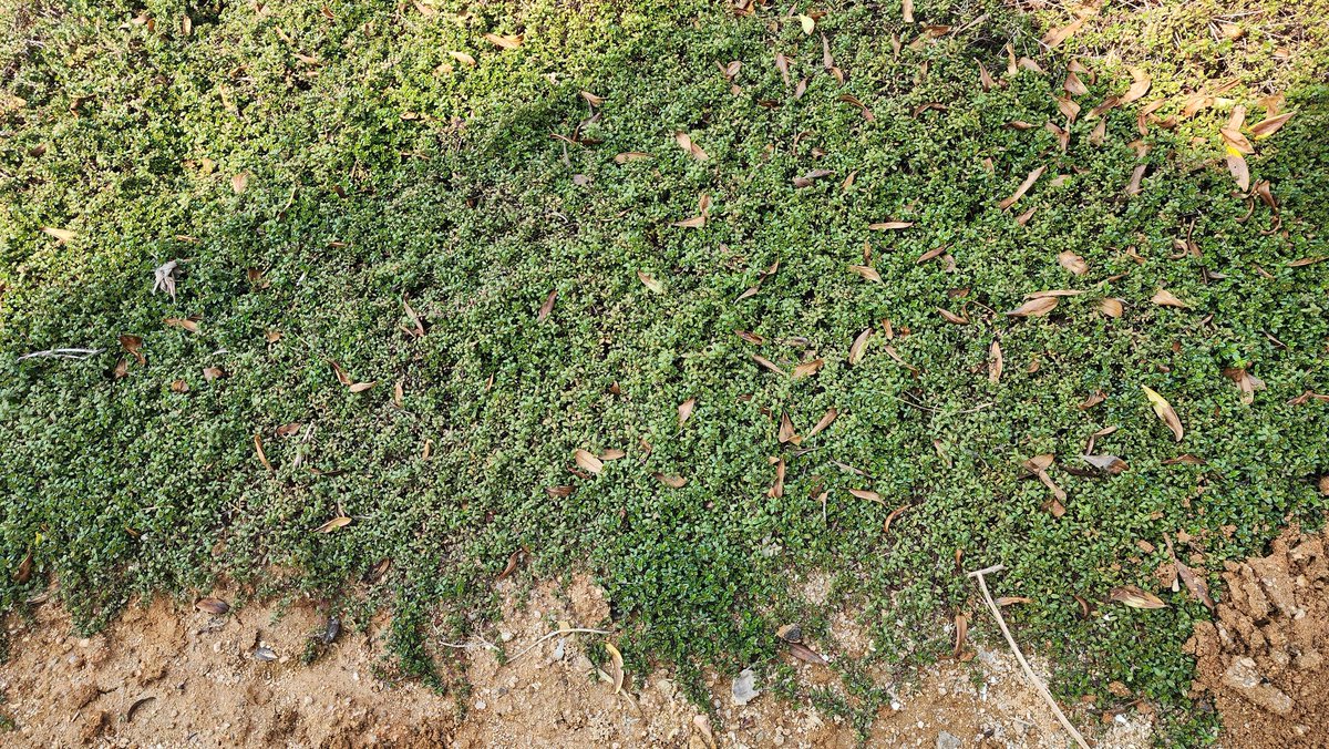 🎗🐬淵畵公🐬🎗 tweet media