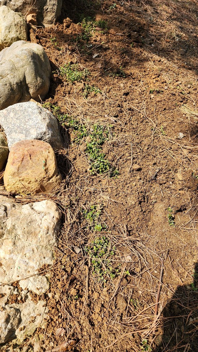 🎗🐬淵畵公🐬🎗 tweet media