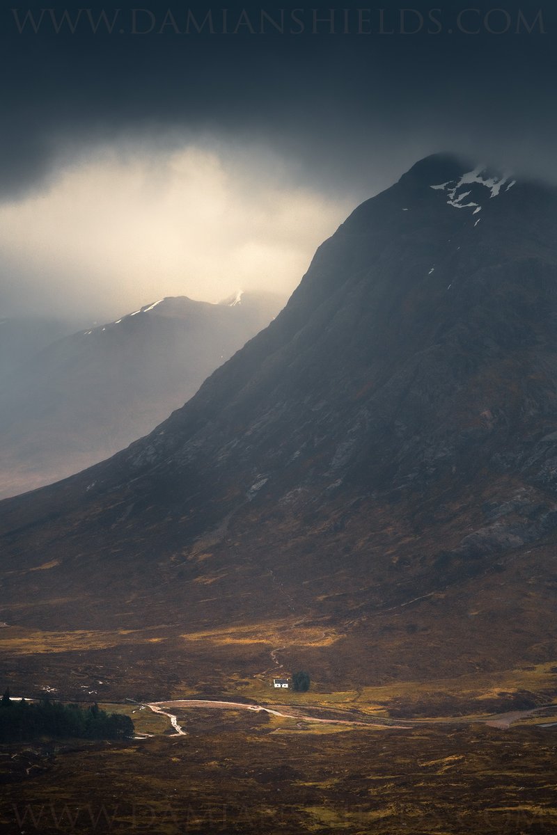 Damian Shields tweet media