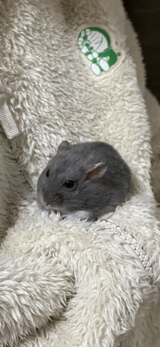 エンタ治療院 tweet media