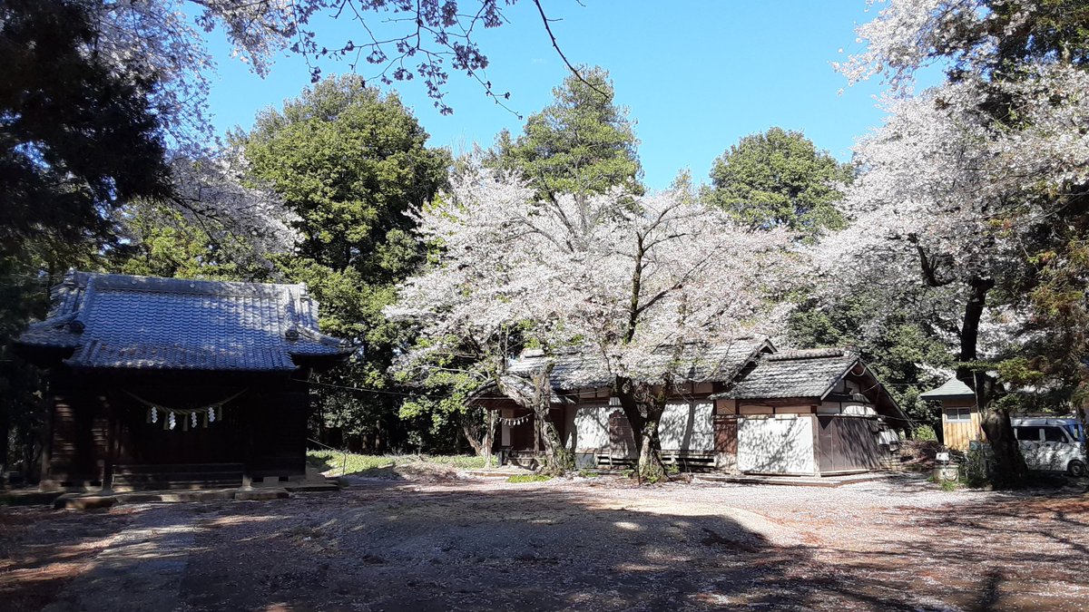 そらのムタ tweet media