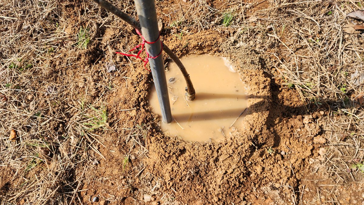 🎗🐬淵畵公🐬🎗 tweet media