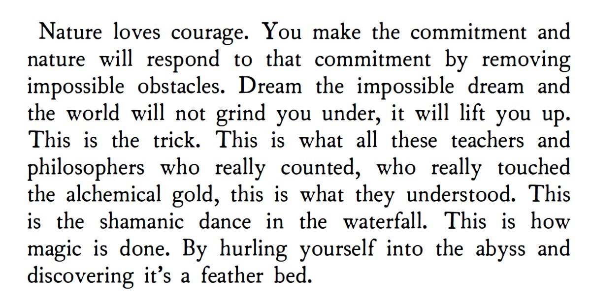 Carnivore Aurelius ©🥩 ☀️🦙 tweet media