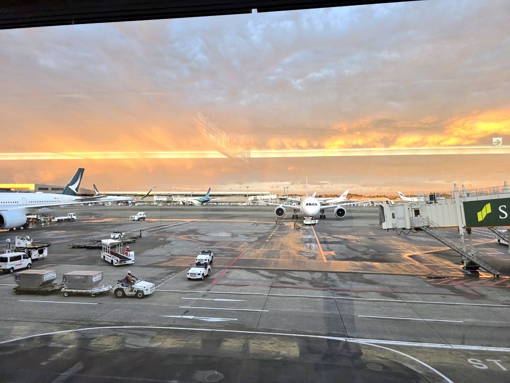 beatcrazy tweet media