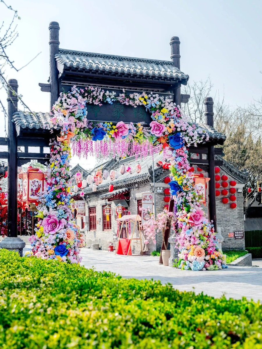 Amazing Weifang tweet media