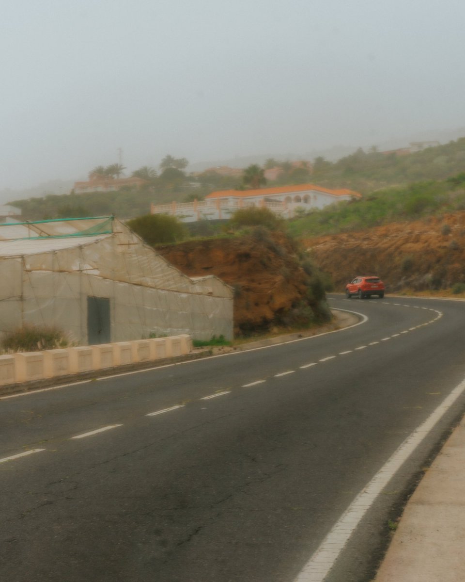 Gariraygua tweet media