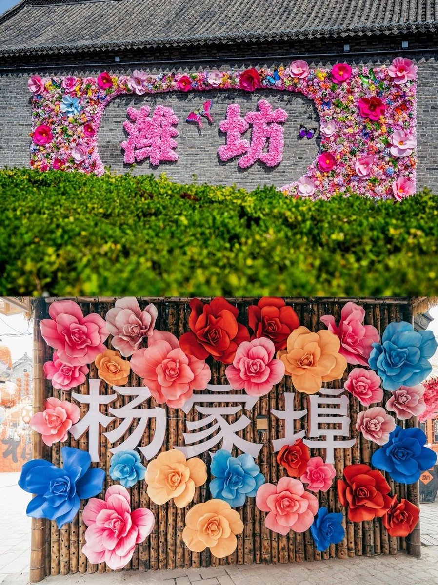 Amazing Weifang tweet media