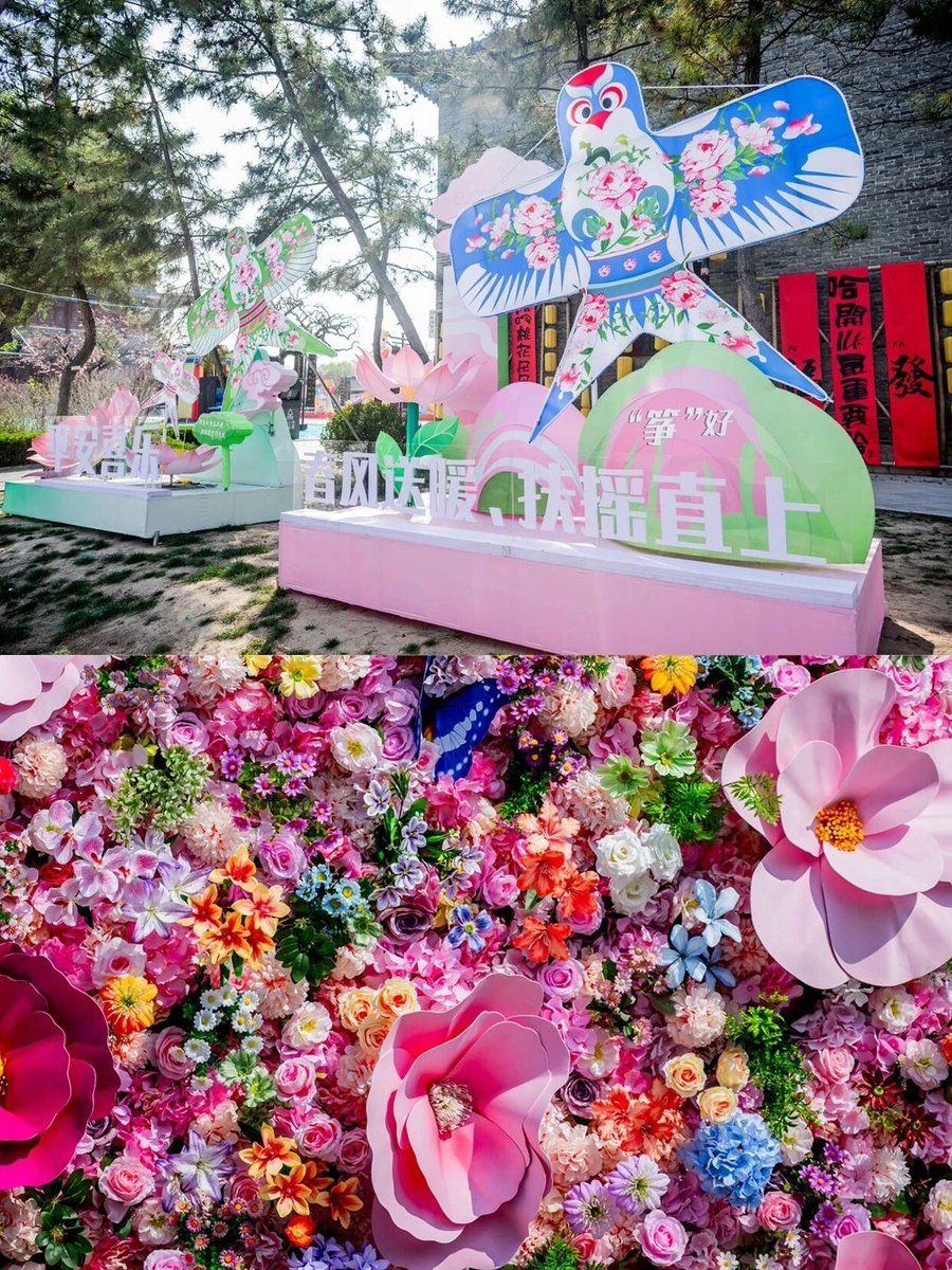 Amazing Weifang tweet media