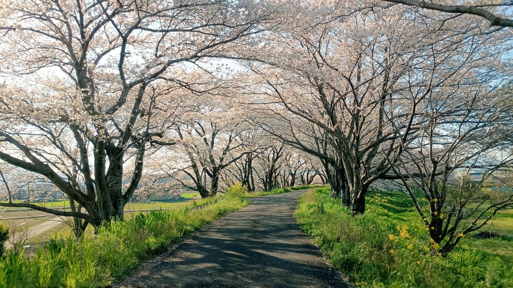 ぬまっち tweet media