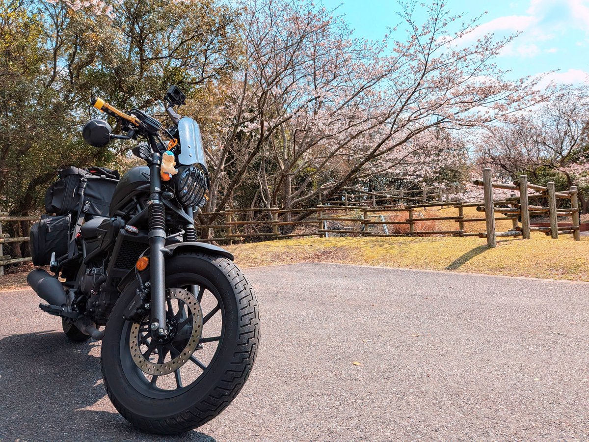 TorikawaBike's tweet photo. お花見ツーリング気持ちよかったです

#バイク
#レブル250
#桜 https://t.co/3gPmxC6A9p