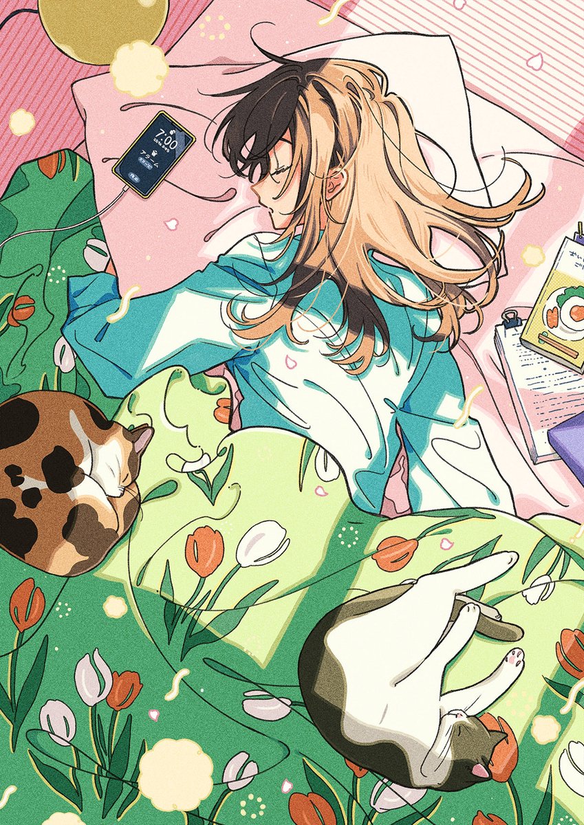 けーしん tweet media