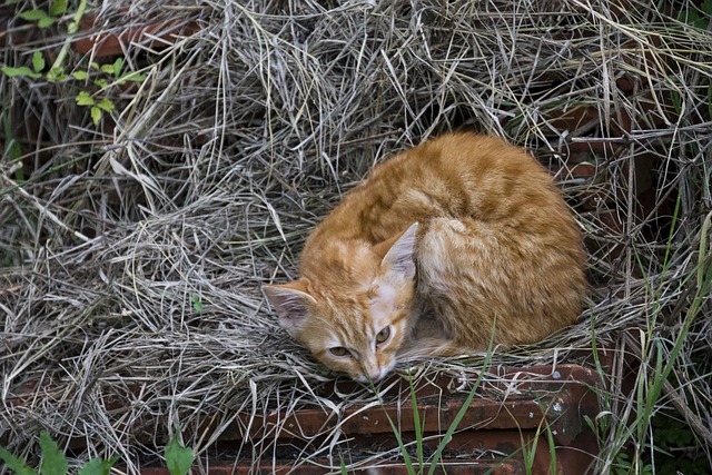 Jim Creek tweet media