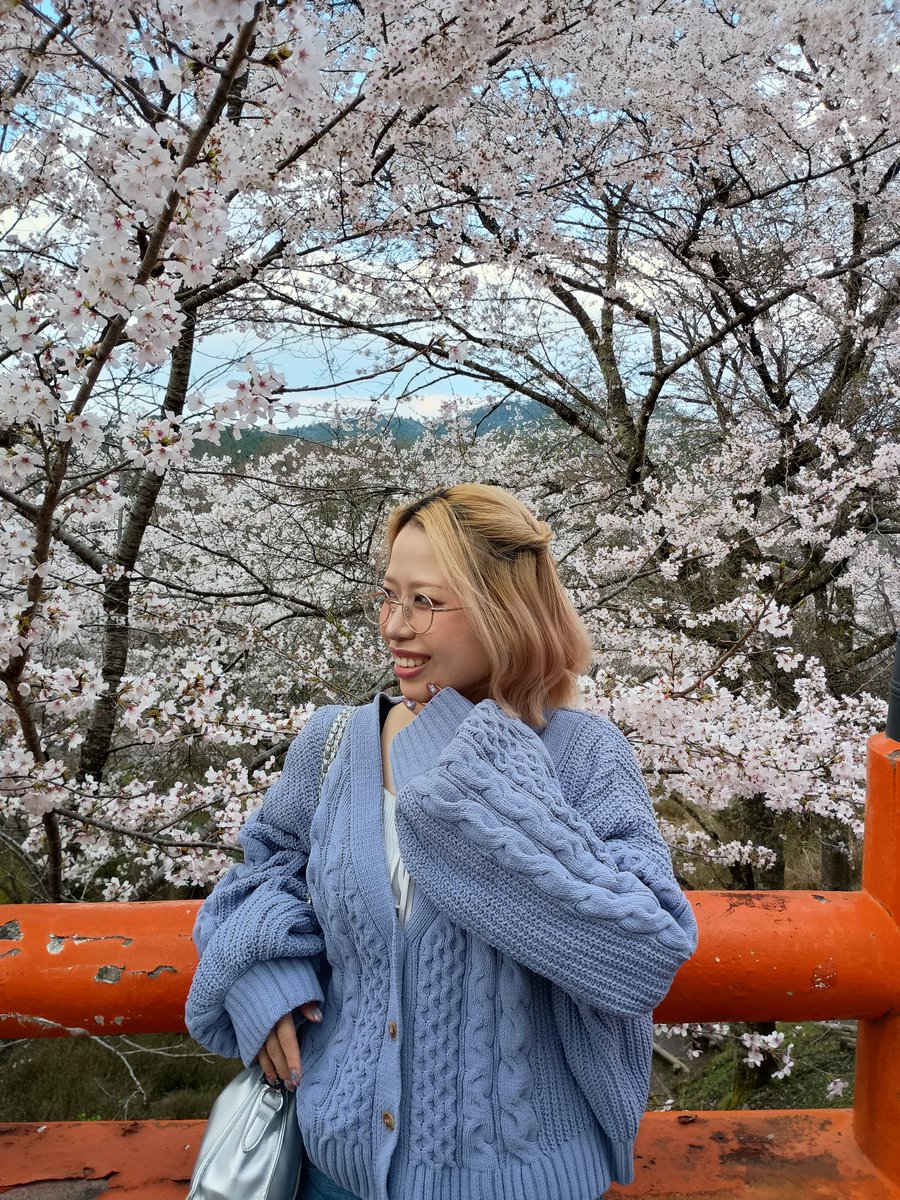 ひつじちゃん tweet media