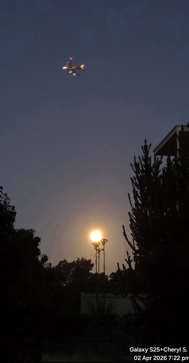 Cheryl Scheffer tweet media