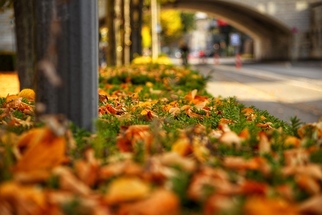 Daniel Walker tweet media