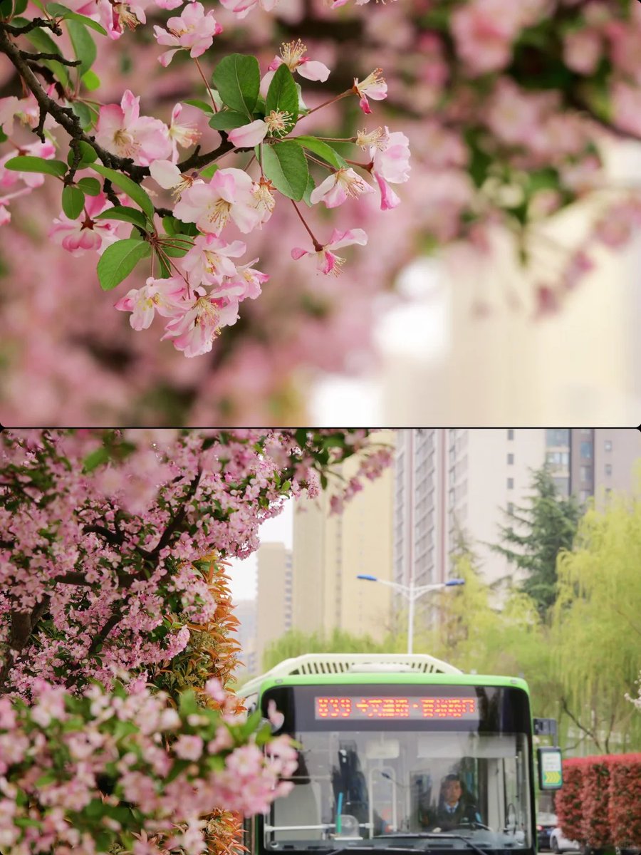 Visit Shaanxi tweet media