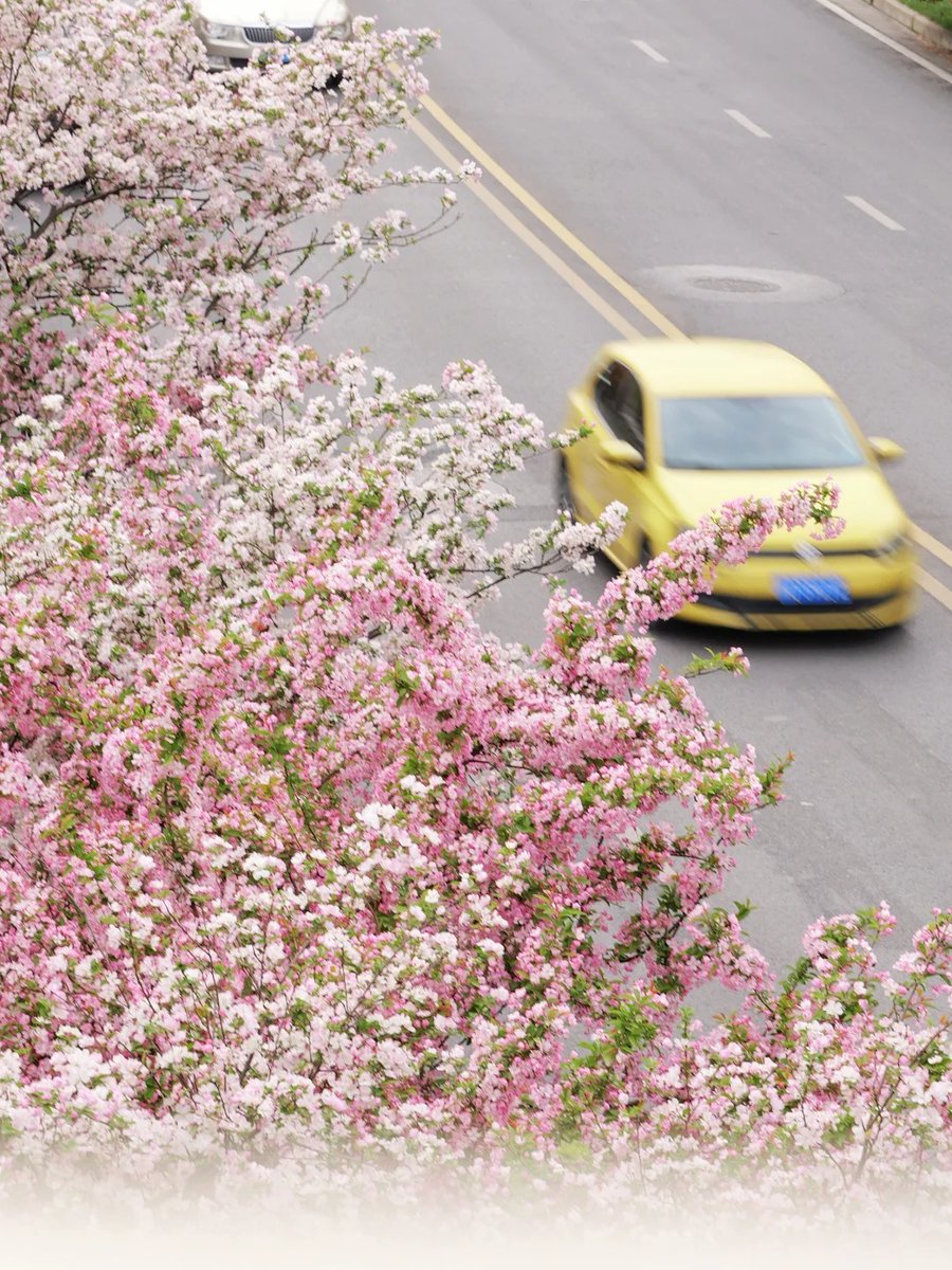 Visit Shaanxi tweet media