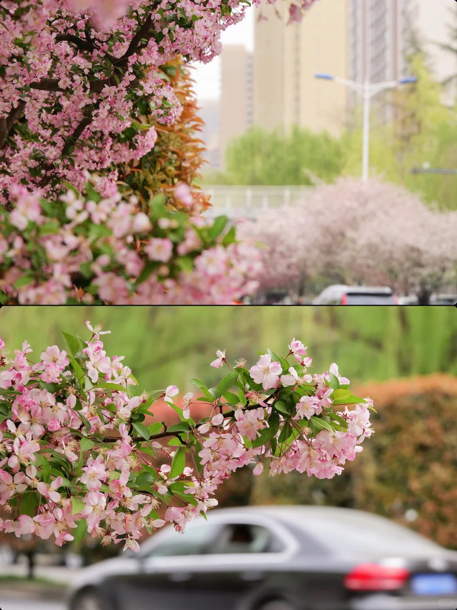 Visit Shaanxi tweet media