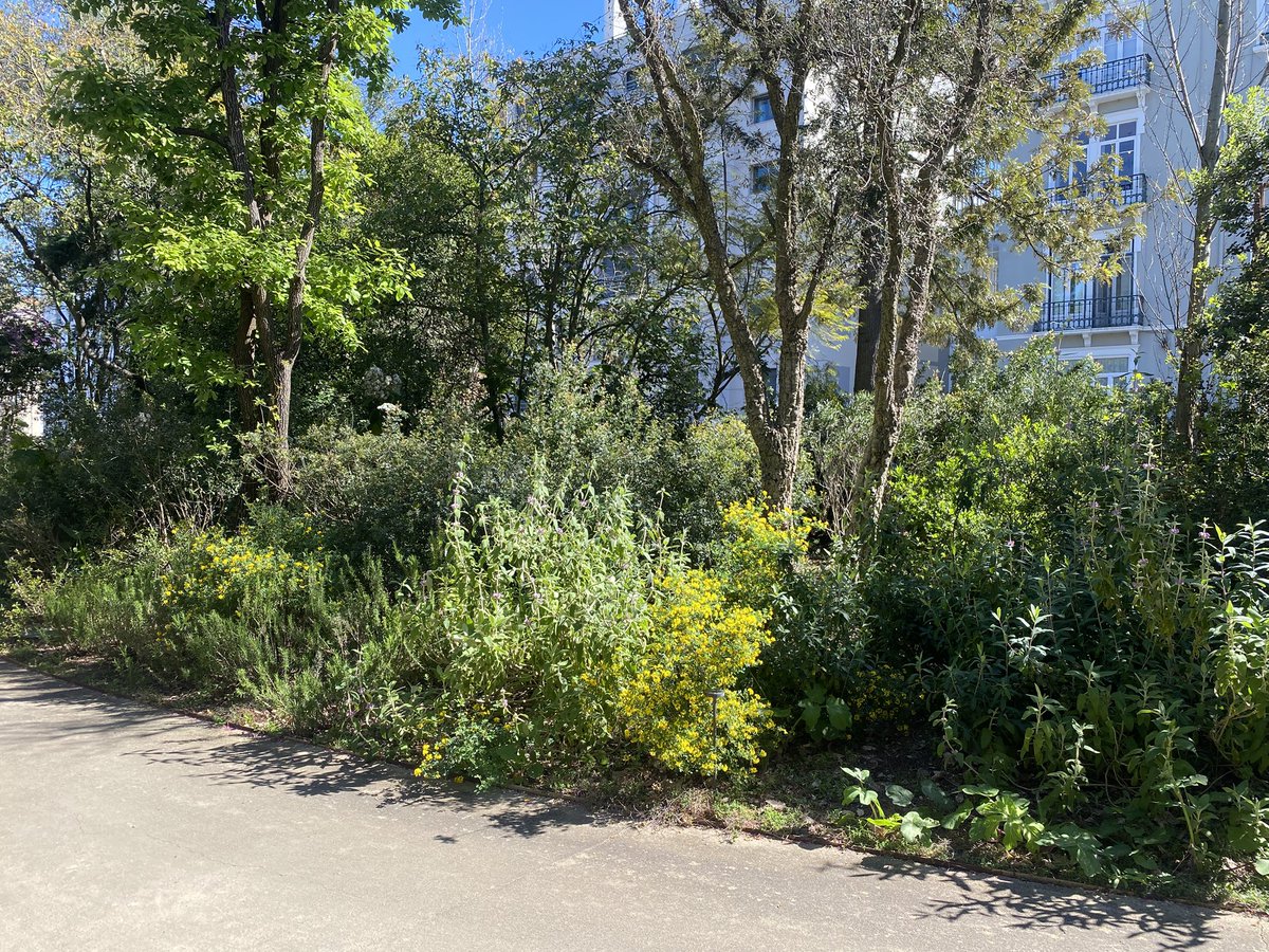 Jesus M. Castillo tweet media