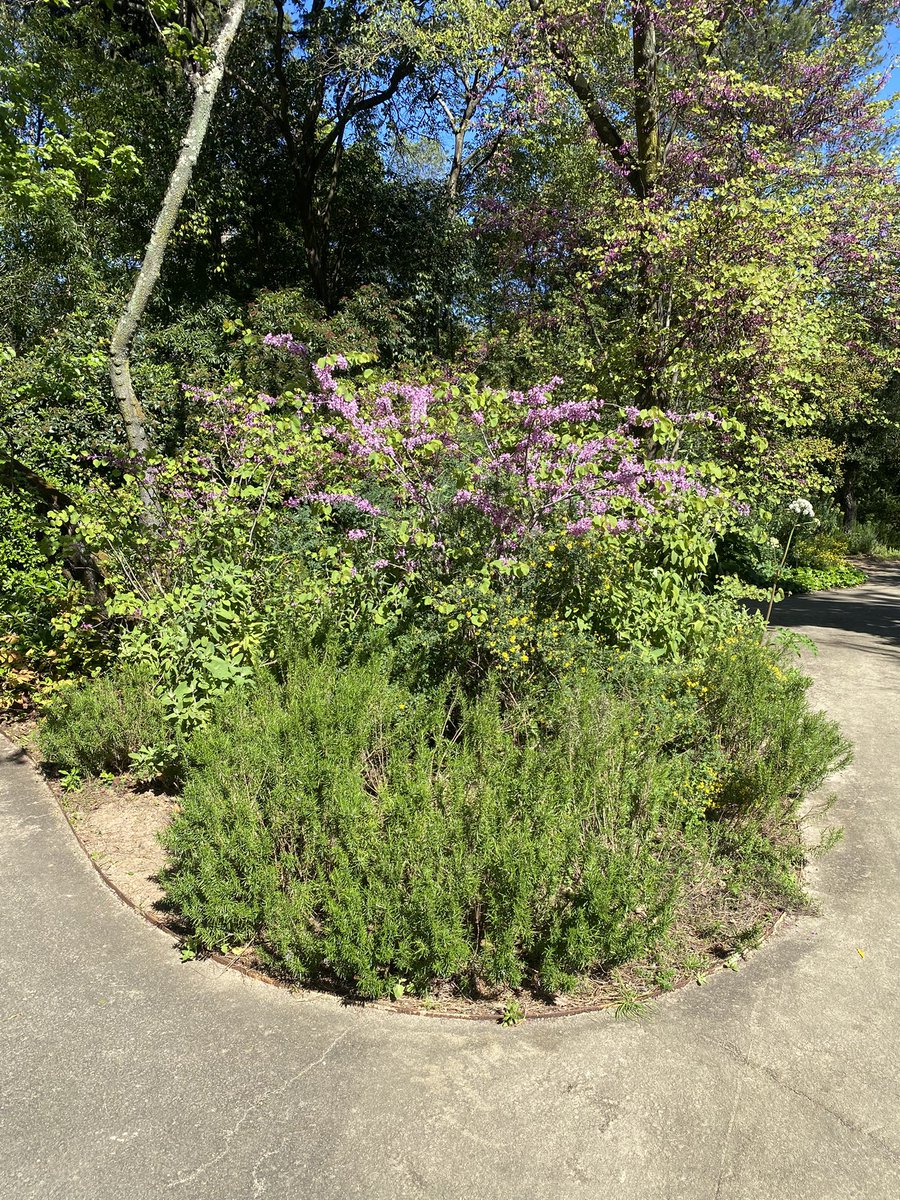 Jesus M. Castillo tweet media