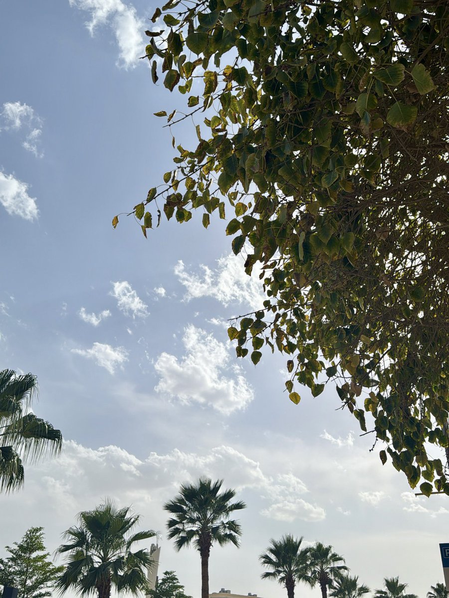 Ghala Alamri | غ tweet media