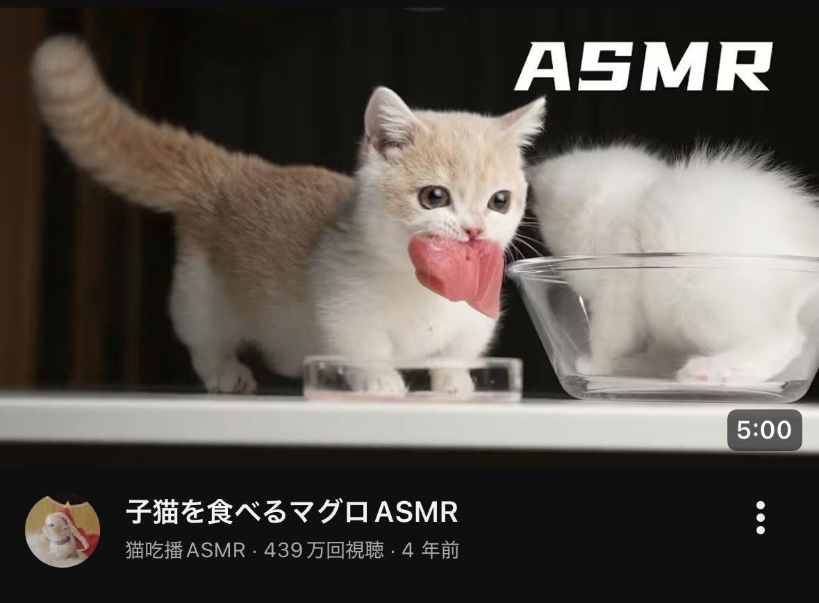 すいちゃ tweet media