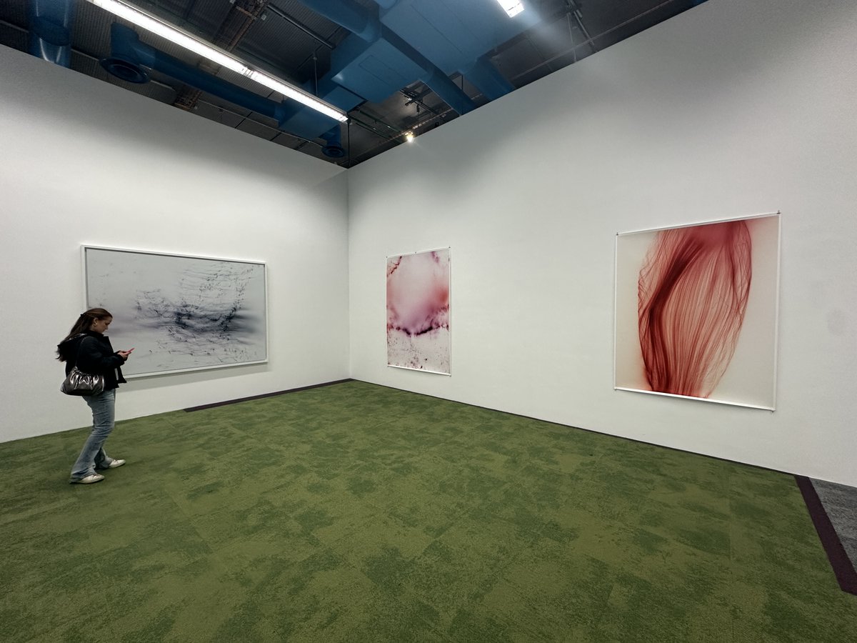 未来写真部 tweet media