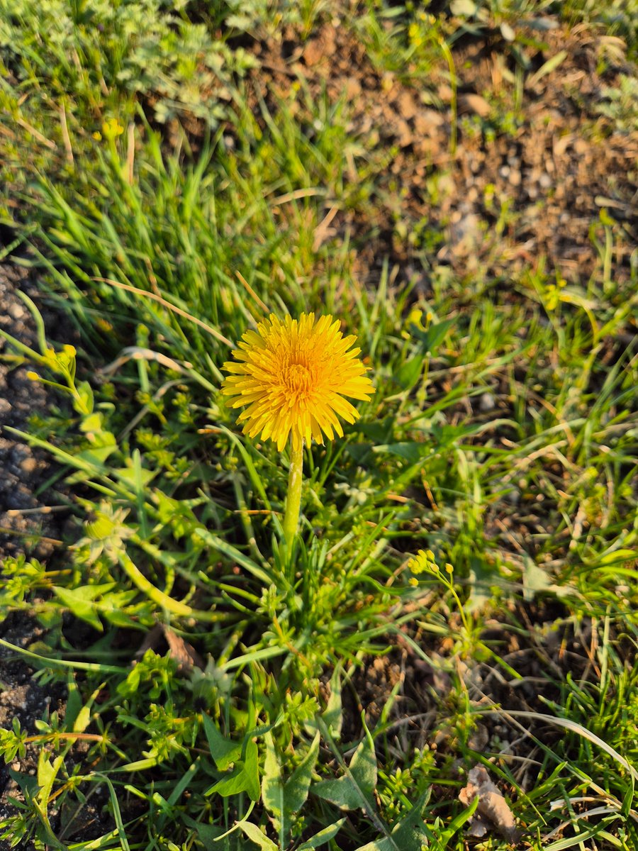 추니추니 입춘이🎗 tweet media