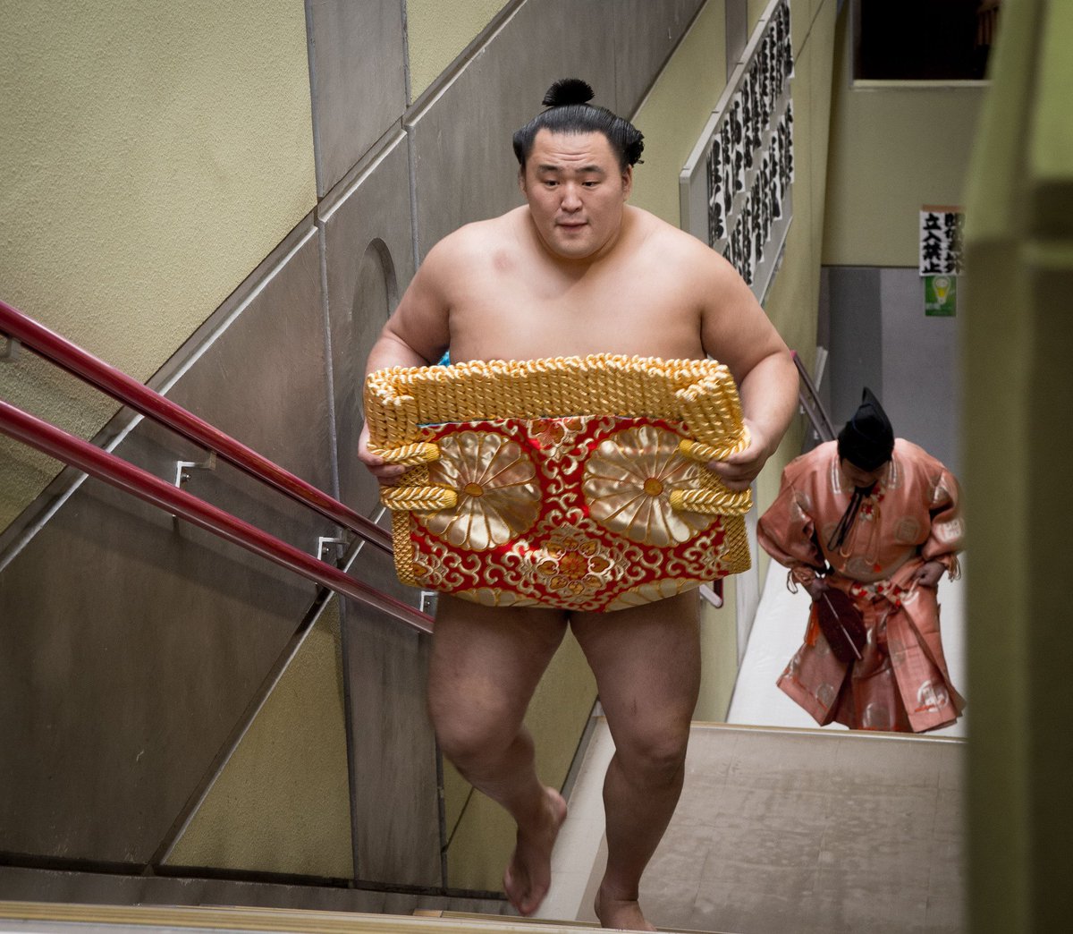 Kerry Lapwing tweet media