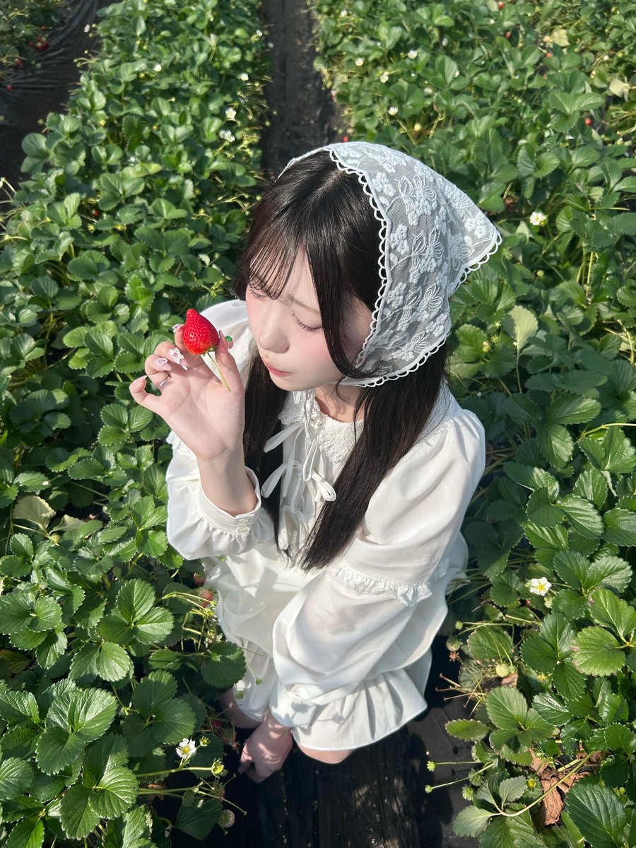 めいちま⭐︎ tweet media