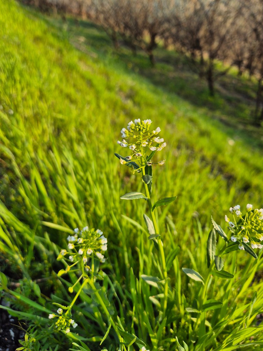 추니추니 입춘이🎗 tweet media