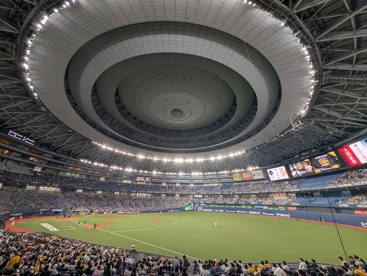 林家染八 tweet media