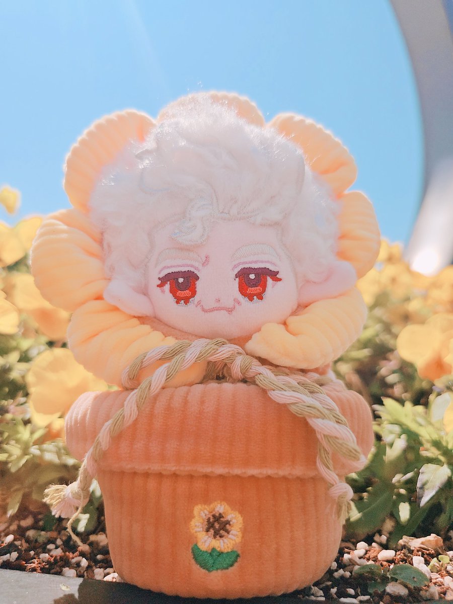 ✧부엉붱버✧ tweet media