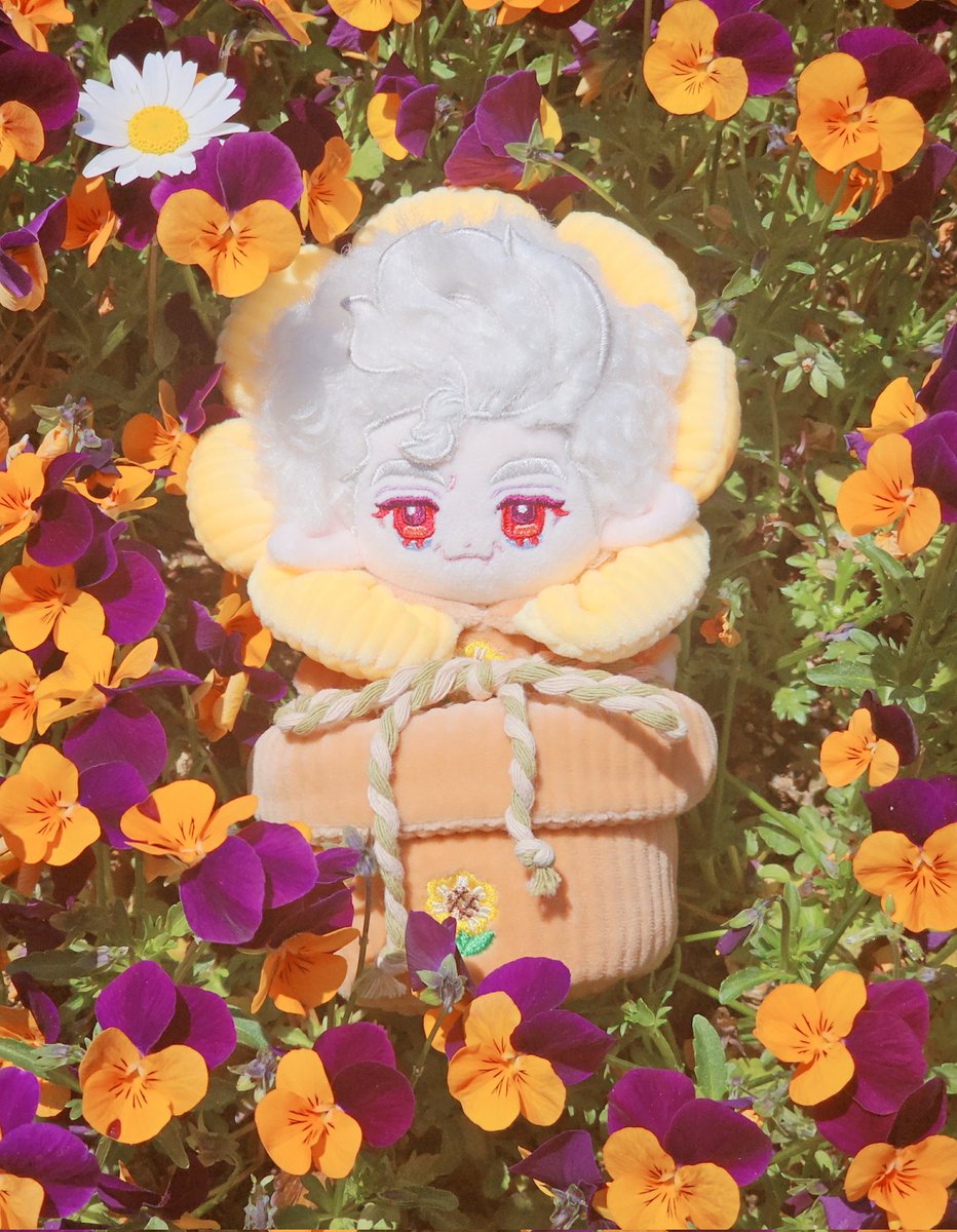 ✧부엉붱버✧ tweet media