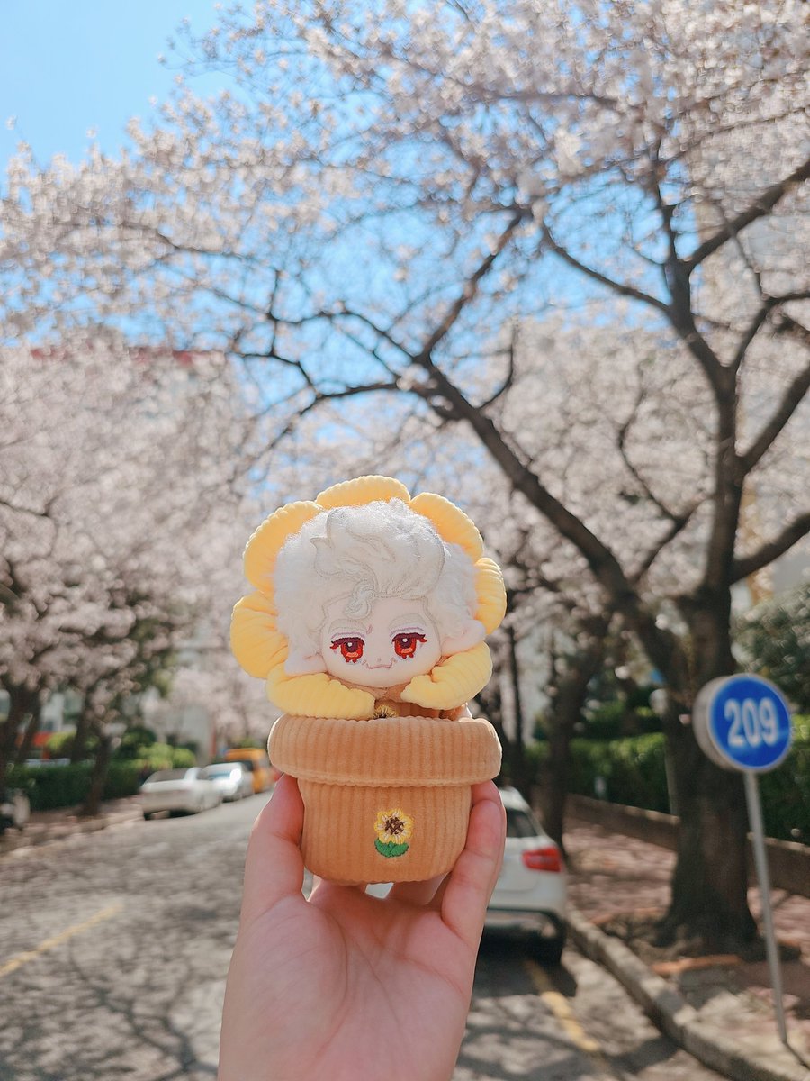 ✧부엉붱버✧ tweet media